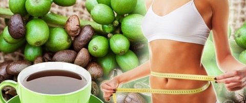 Зеленый кофе для похудения, миф или реальность?