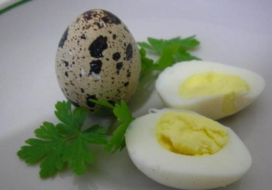Перепелиные яйца достойная замена куриным