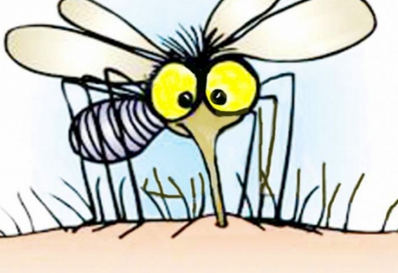 Как избавиться от комаров и натуральные средства от зуда