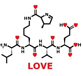 Влюблённость (любовь) под микроскопом науки